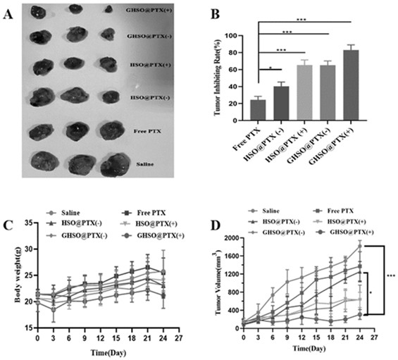 A drug carrier with dual targeting function of tumor cells and tumor-related fibroblasts, preparation method and application