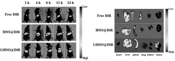 A drug carrier with dual targeting function of tumor cells and tumor-related fibroblasts, preparation method and application