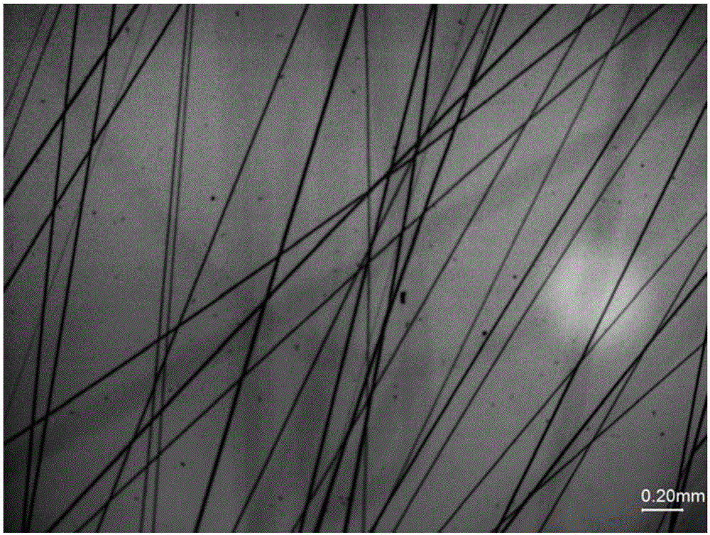 UV-curing-based solvent-free electrostatic spinning apparatus