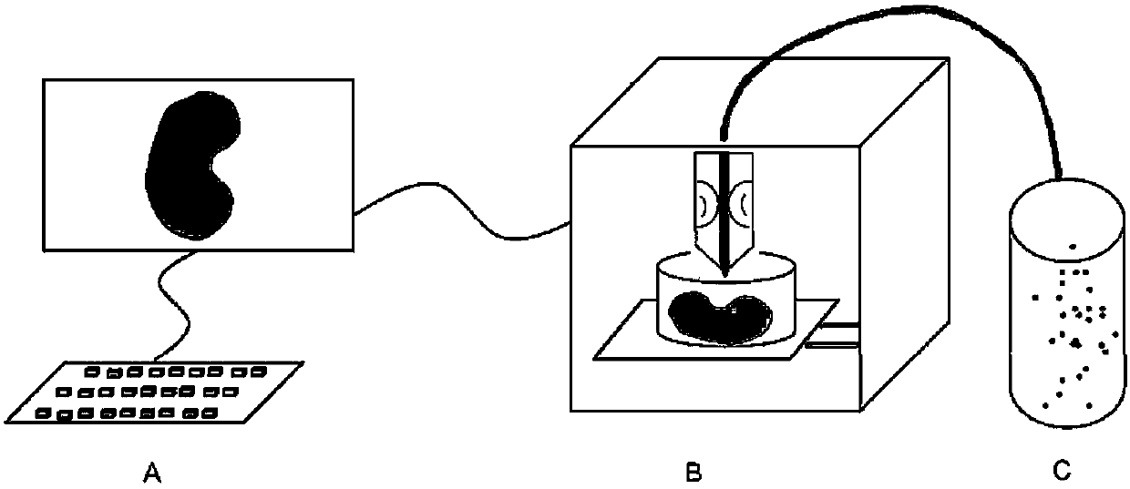 Three-dimensional printing and negative-pressure flushing combining integrated skin dressing and preparation method thereof