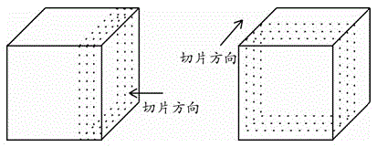 Method for obtaining three-dimensional stress field of rock mass model including complex structural plane