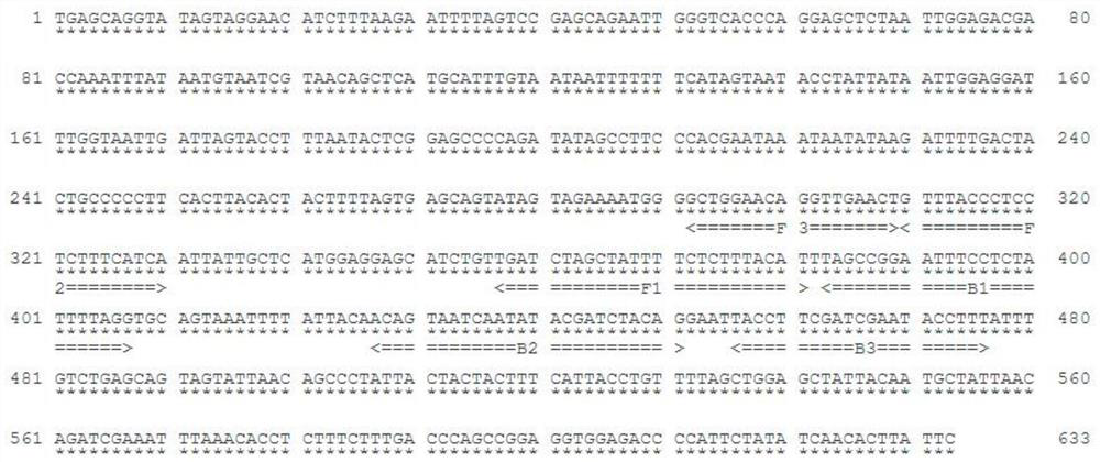 Method for detecting bactrocera scutelata hendel based on visual LAMP (loop-mediated isothermal amplification) technology and application