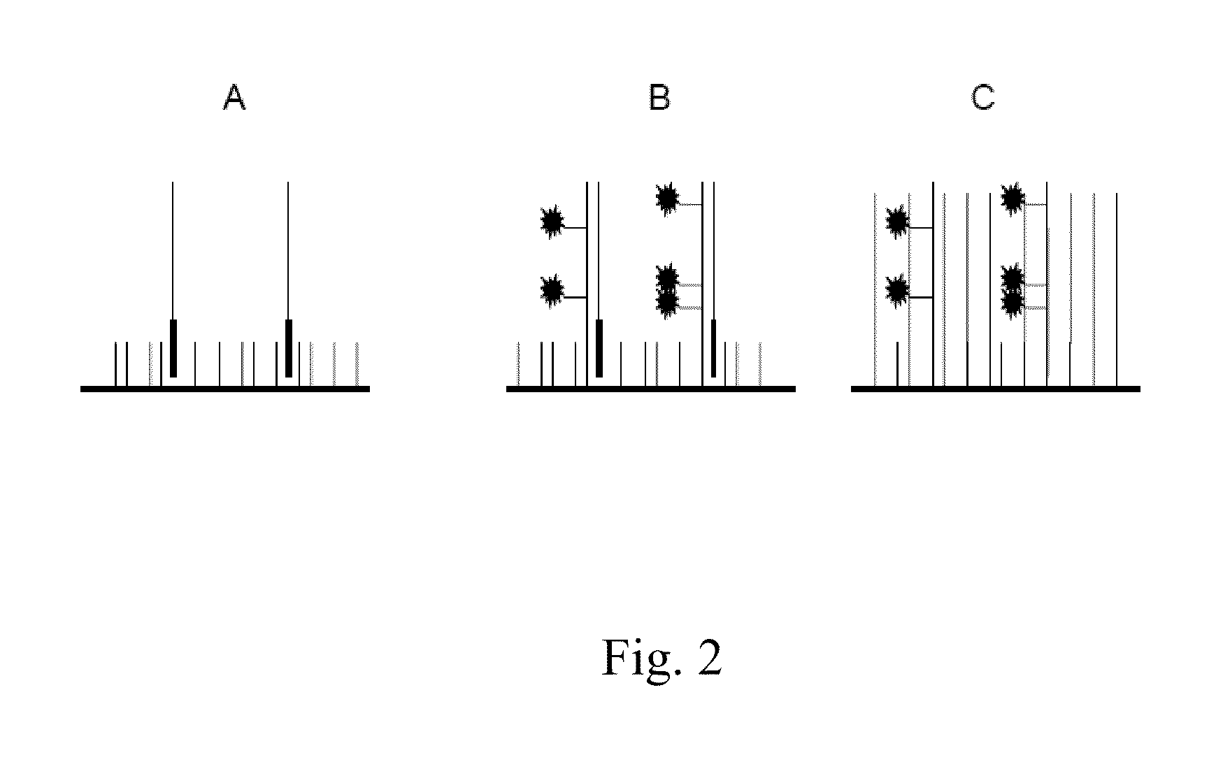 Centroid markers for image analysis of high density clusters in complex polynucleotide sequencing