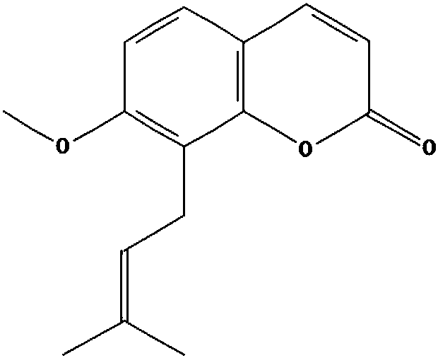 A medicine for treating rheumatoid arthritis and uses thereof