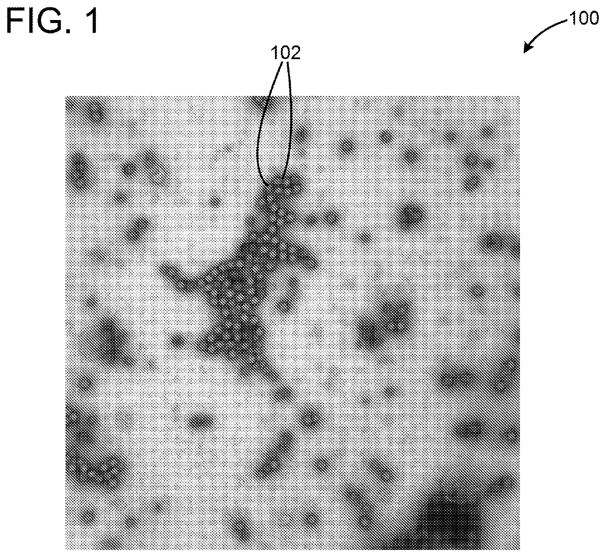 Method for automated unsupervised ontological investigation of structural appearances in electron micrographs