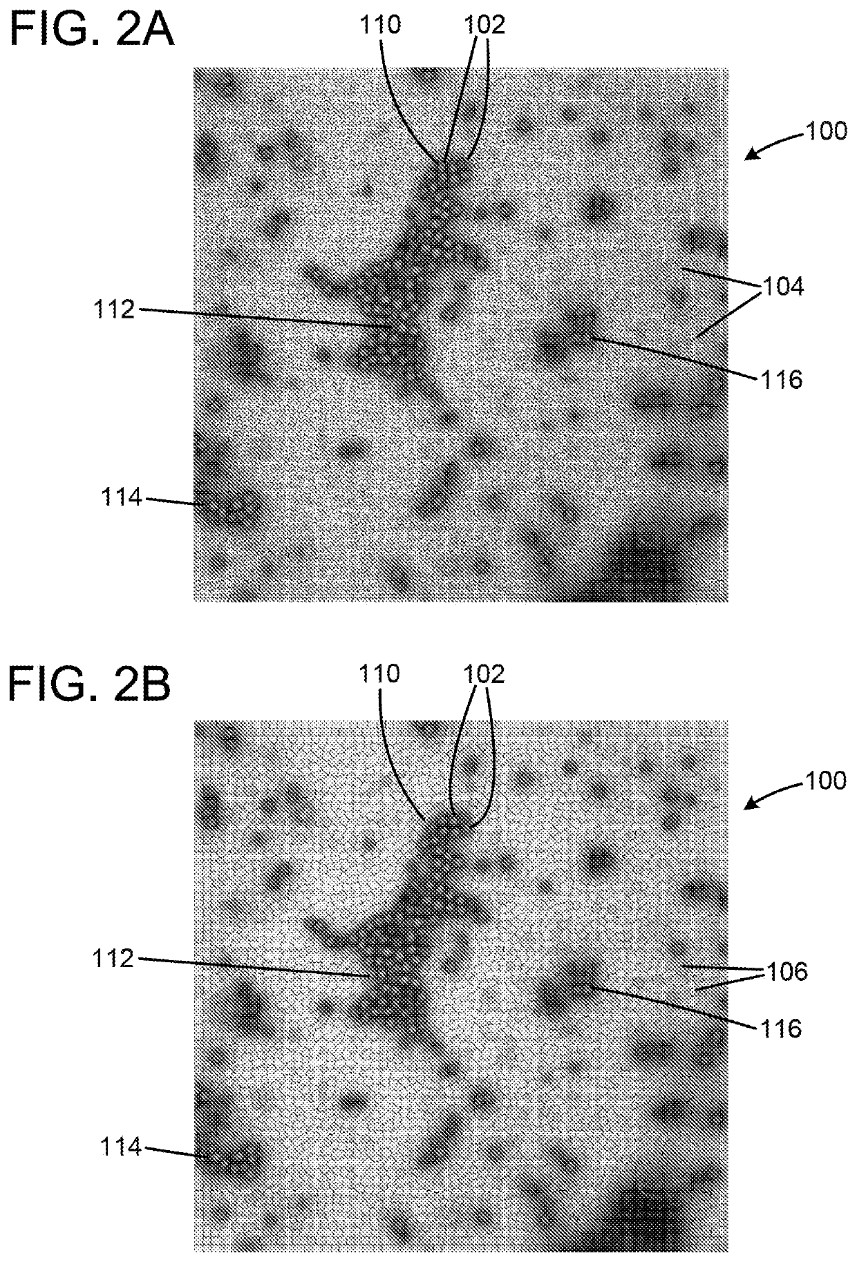 Method for automated unsupervised ontological investigation of structural appearances in electron micrographs