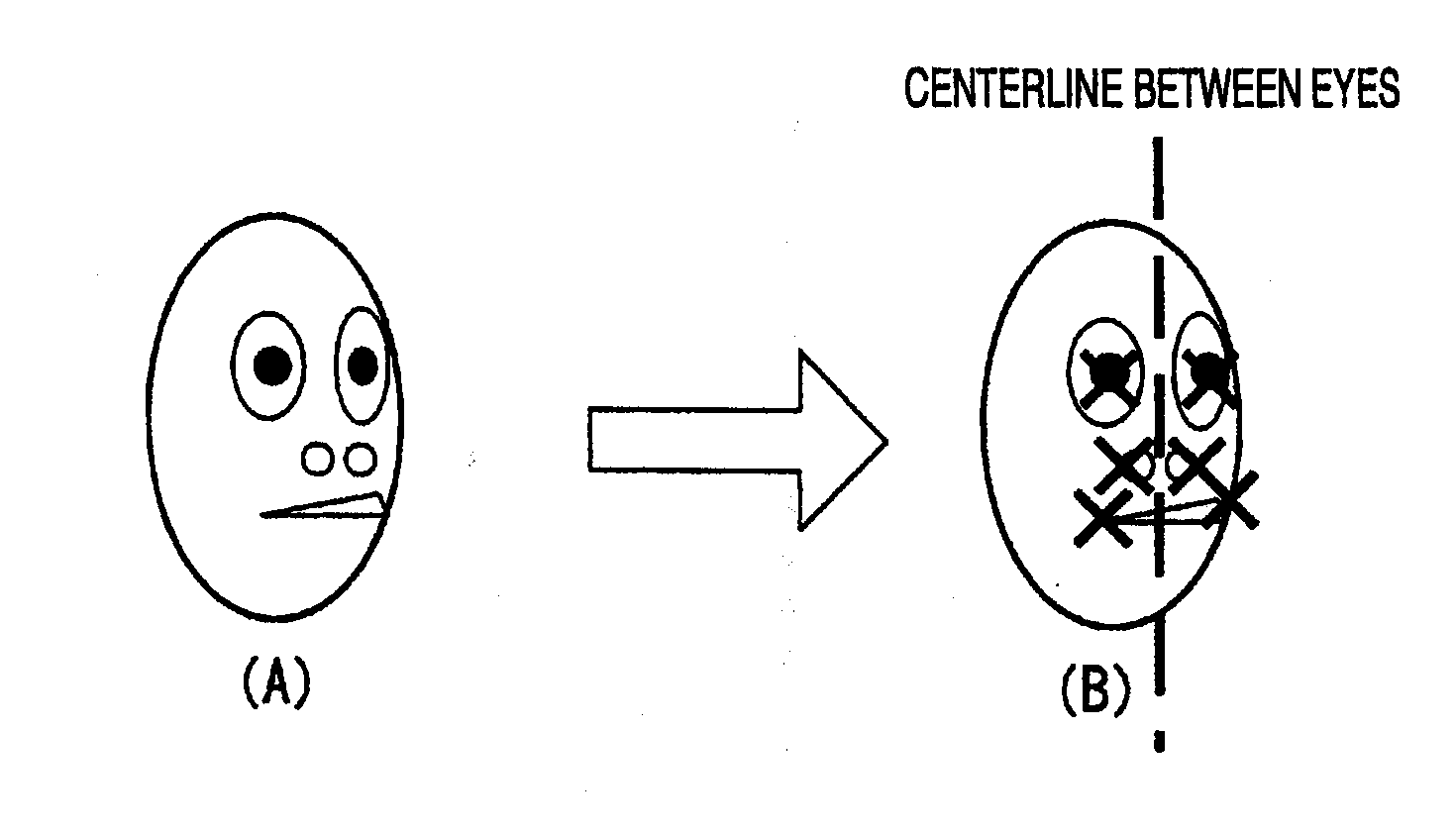 Face feature collator, face feature collating method, and program