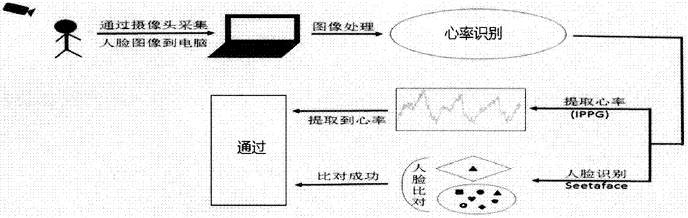 Human body identity identification and verification method and device