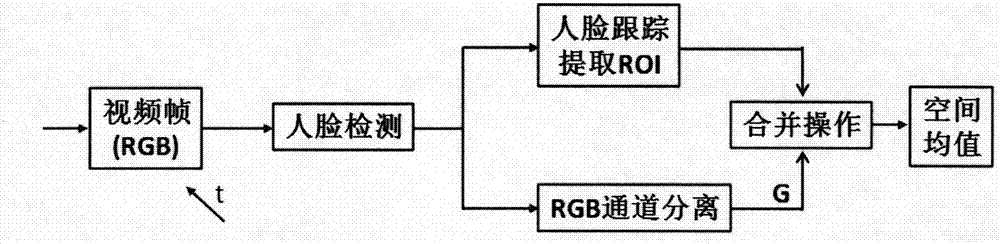 Human body identity identification and verification method and device