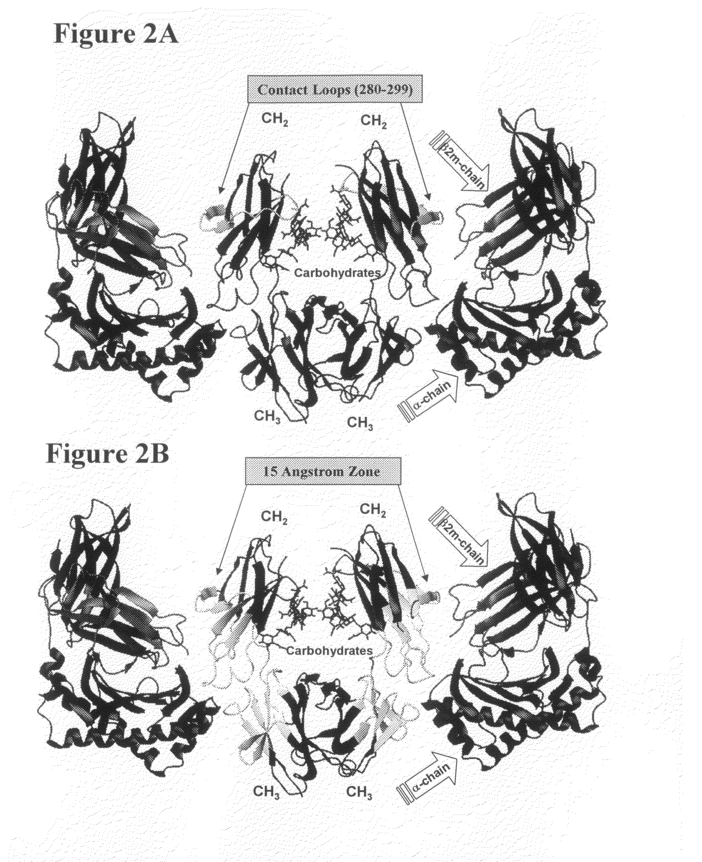 Altered polypeptides, immunoconjugates thereof, and methods related thereto