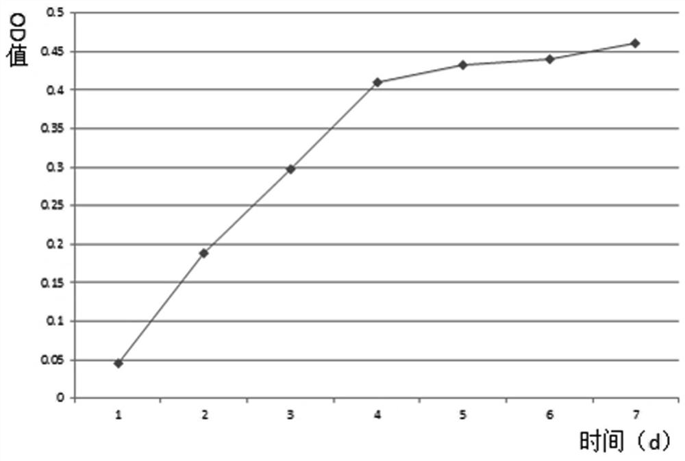 Anti-wrinkle essence containing adipose-derived stem cell extract and preparation method of anti-wrinkle essence