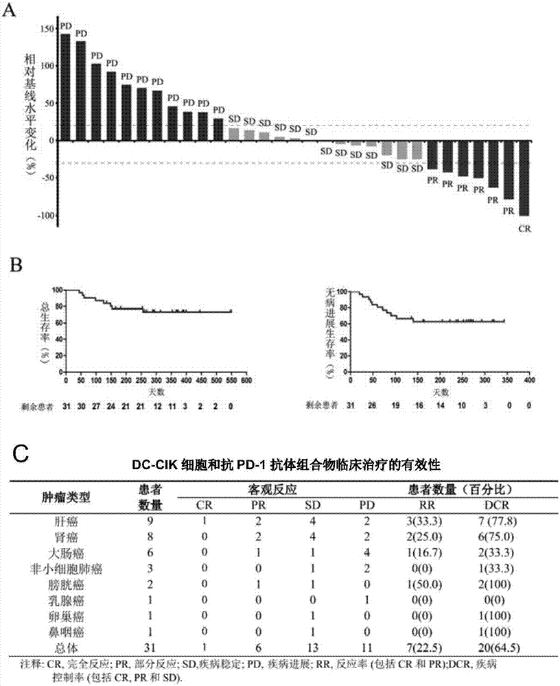 DC-CIK cell and anti-PD-1 antibody composition and application thereof