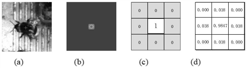 Bee counting method and device and electronic equipment