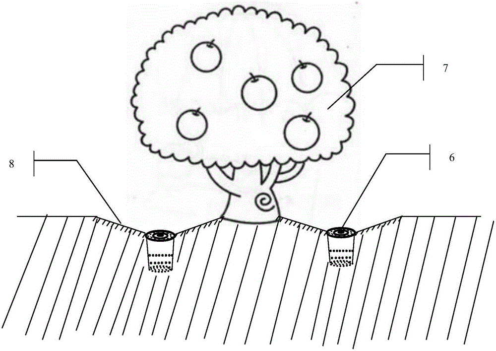 Deep-layer infiltration method for apple orchards at dry highland areas through rainwater collected by tree disks