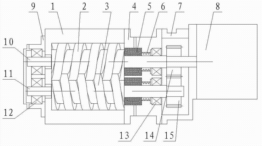 Screw vacuum pump adopting dry gas seal