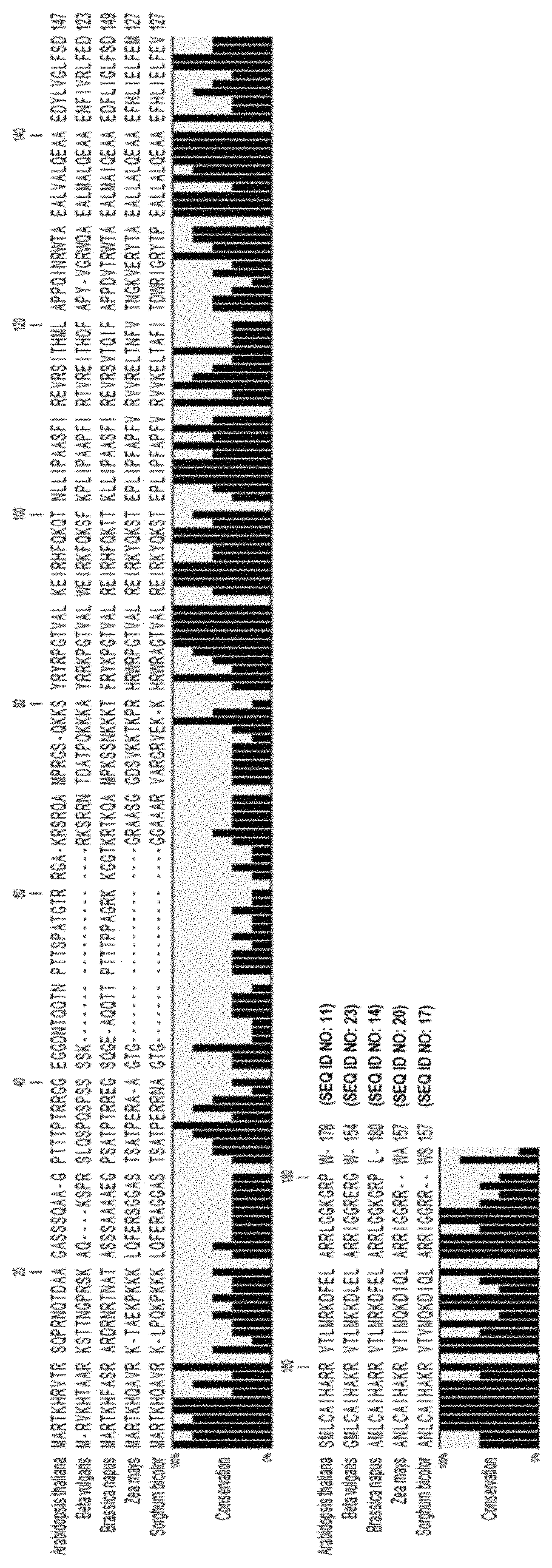 Generation of haploid plants