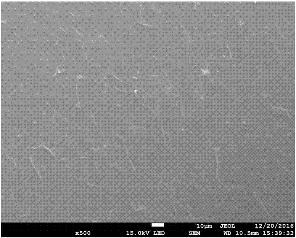 Method for preparing transparent flexible supercapacitor