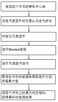 Vein image enhancement method based on maximum curvature method and multi-scale Hessian matrix