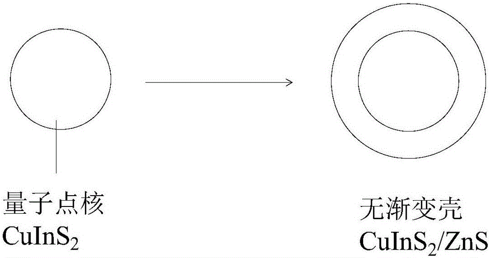 Cadmium-free core-shell quantum dot and preparation method thereof