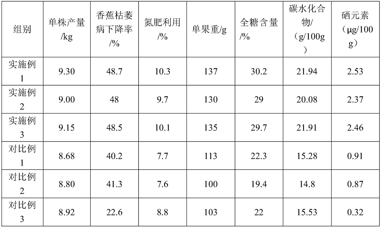 Method for planting selenium-rich Gaozhou bananas