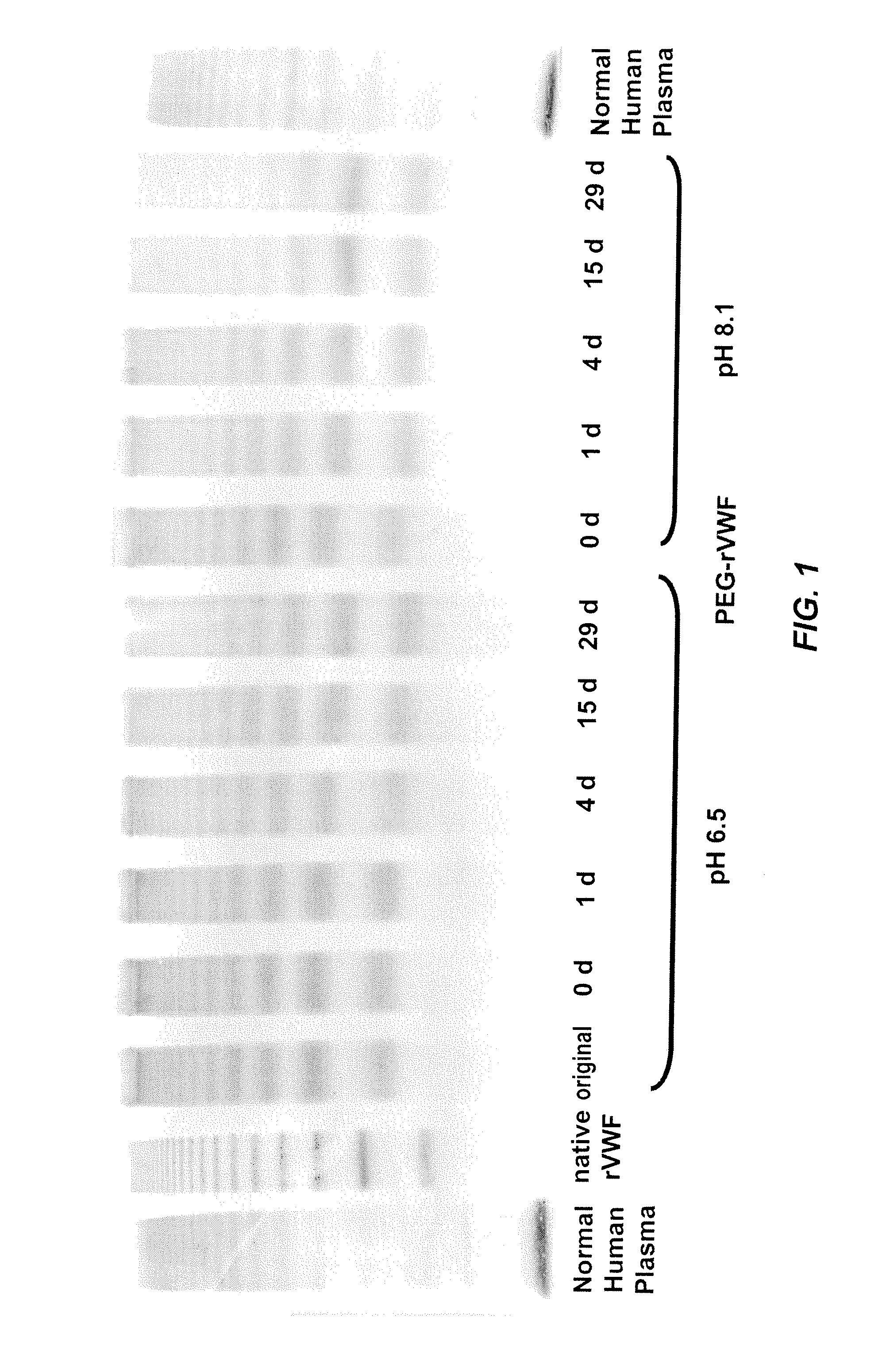 Methods for determining active ingredients in pro-drug PEG protein conjugates with releasable PEG reagents (in vitro de-pegylation)