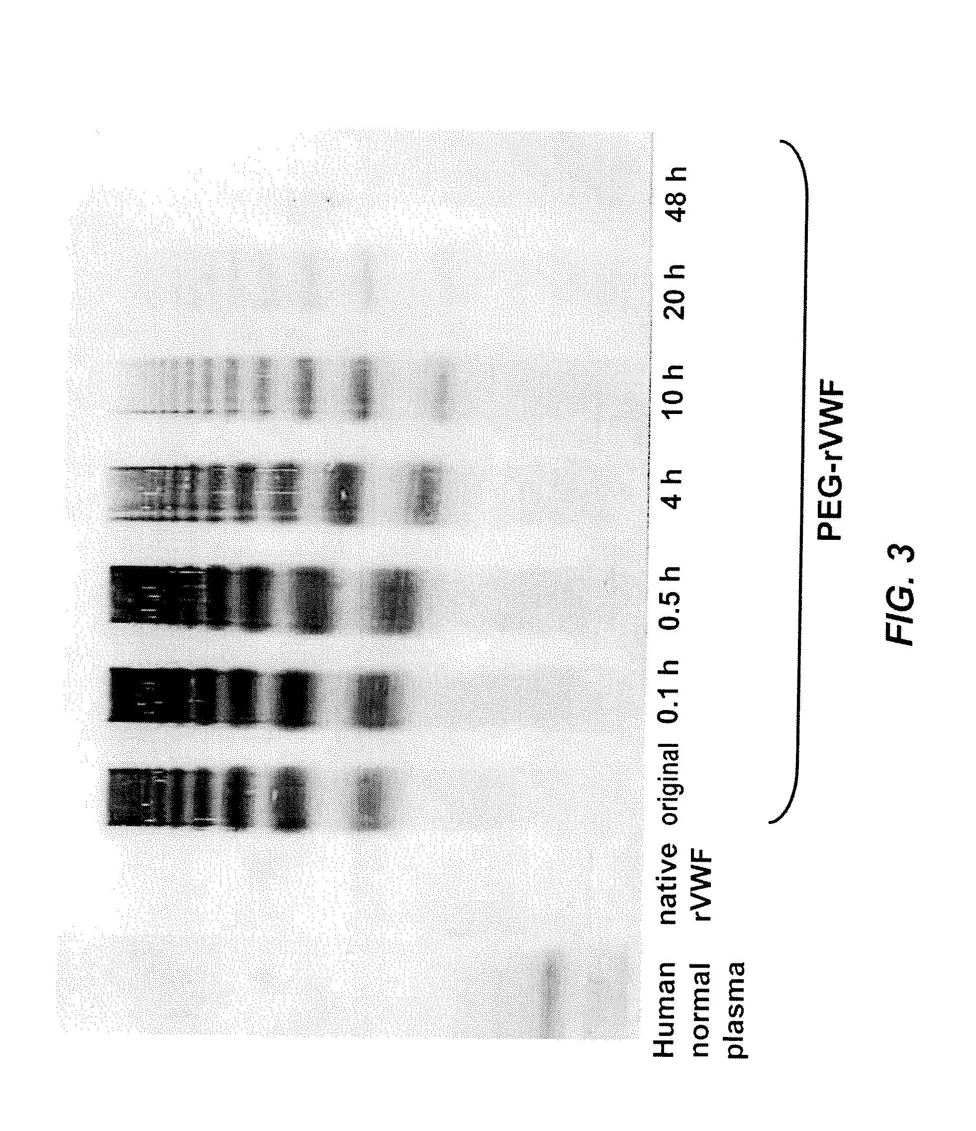 Methods for determining active ingredients in pro-drug PEG protein conjugates with releasable PEG reagents (in vitro de-pegylation)