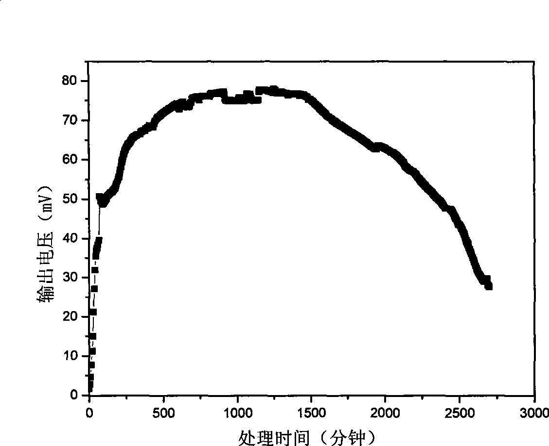 Apparatus and method for processing parachlorophenol-containing waste water and recovering electric energy