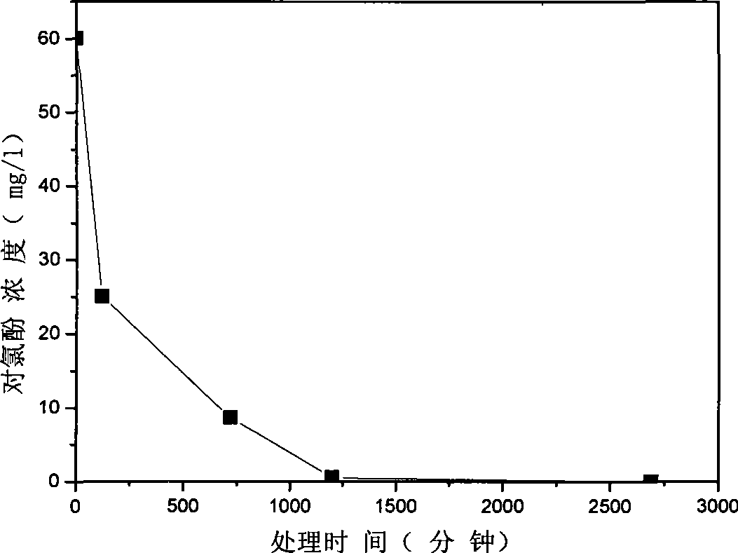 Apparatus and method for processing parachlorophenol-containing waste water and recovering electric energy