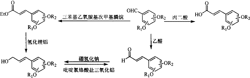 Disubstituted allyl benzene derivatives as well as preparation and uses thereof