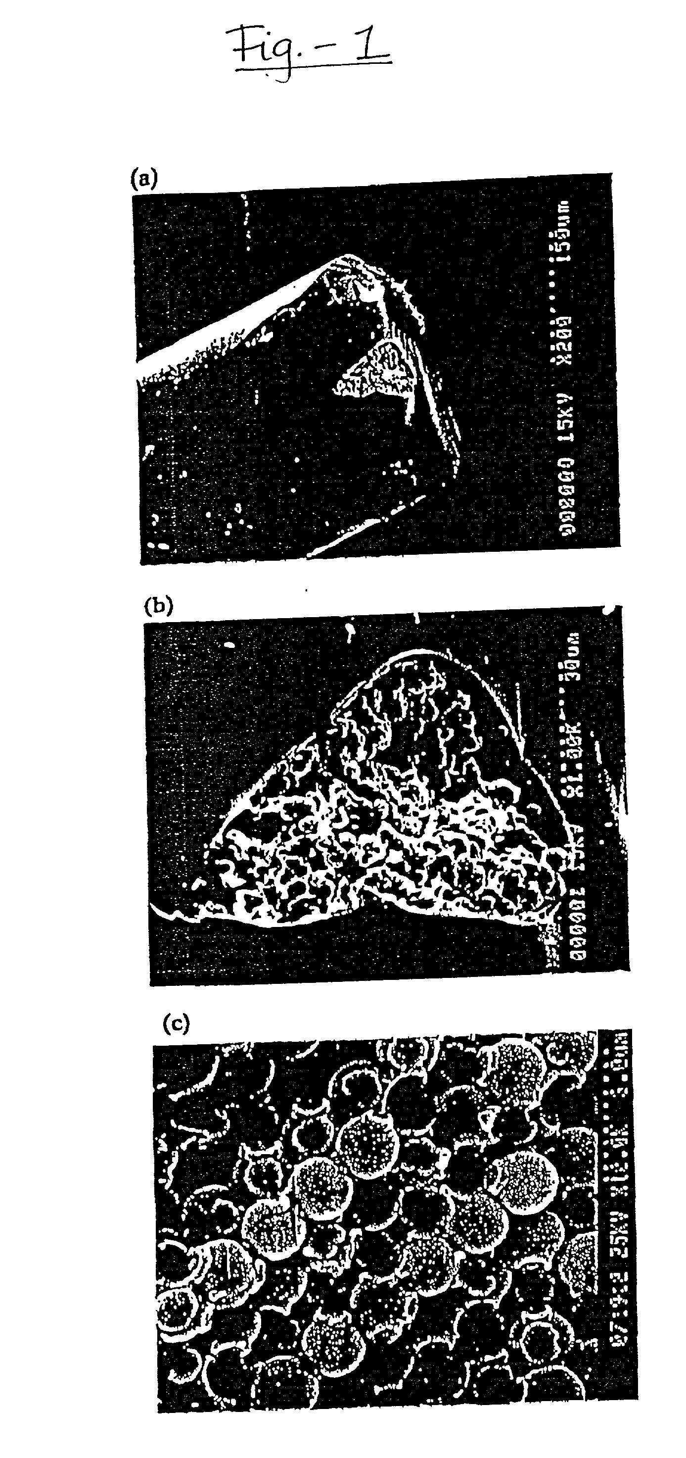 Fused-silica capillaries with photopolymer components