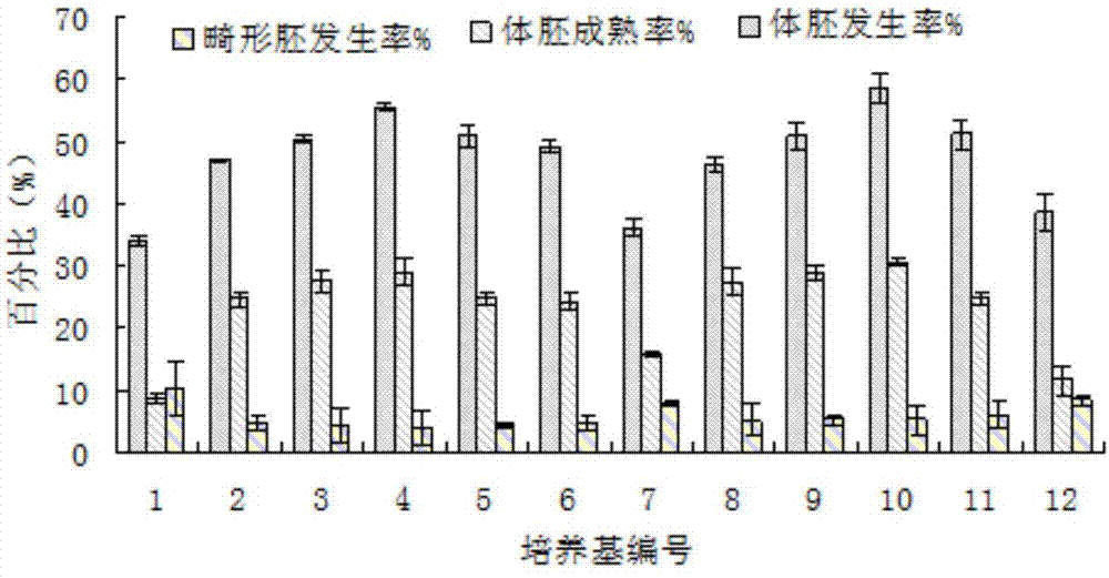 Method for generating hybrid liriodendron somatic embryo by using jasmonic acid methyl ester