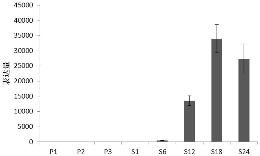 Seed-specific interference vector containing pOsGlb-1 promoter and application thereof