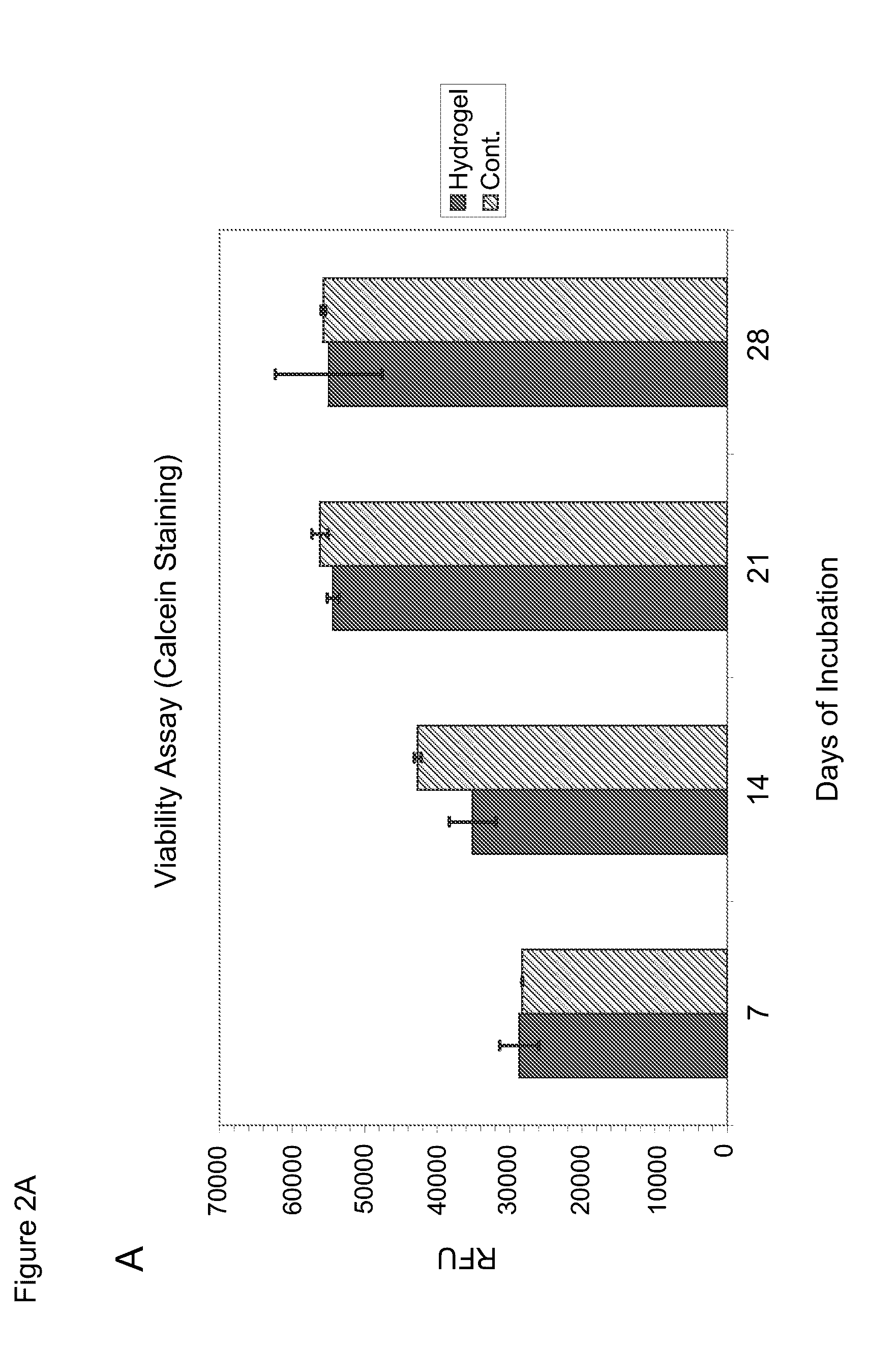 Amphiphilic peptide matrices for treatment of osteoporosis