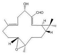 Cembrane type diterpenoids with anti-tumor activities and application thereof