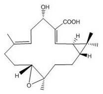 Cembrane type diterpenoids with anti-tumor activities and application thereof