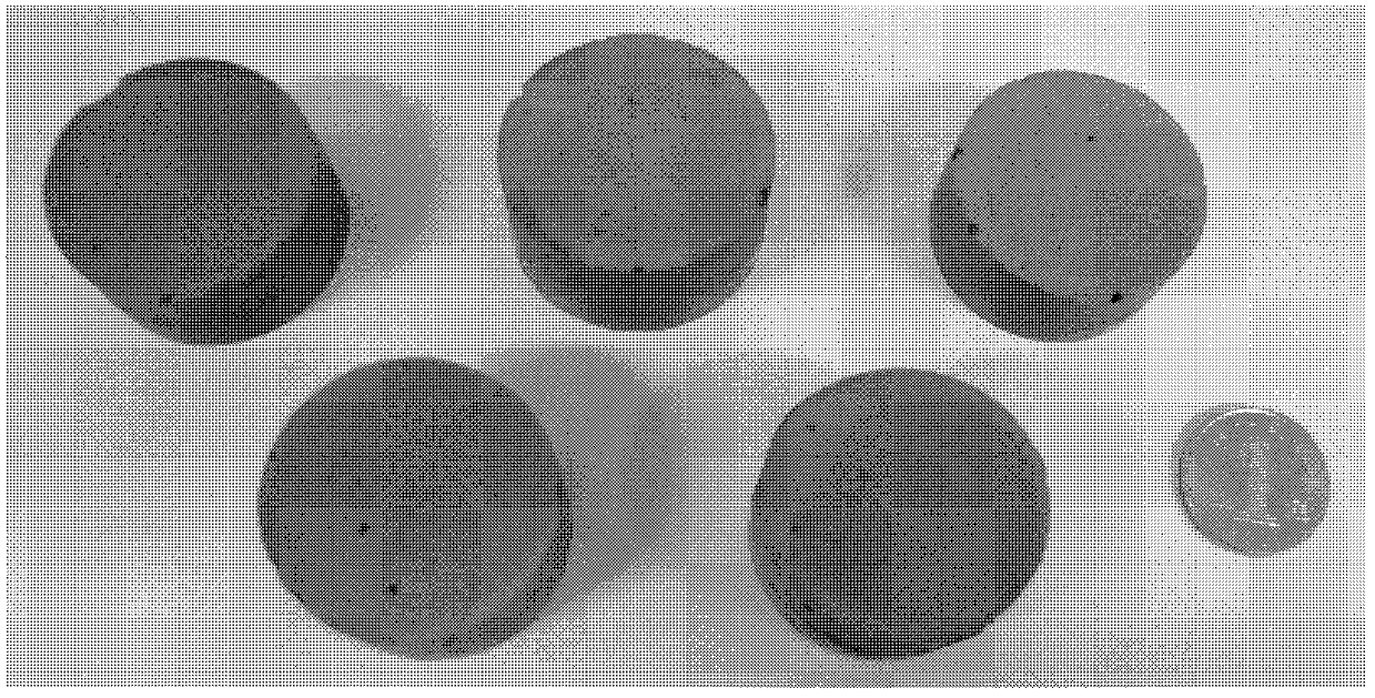 Conducting resin for scanning electronic microscope and preparation method thereof