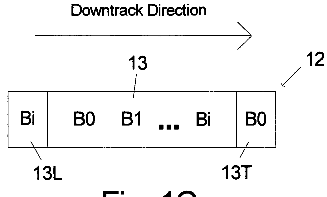 Information storage device with multiple-use fields in servo pattern