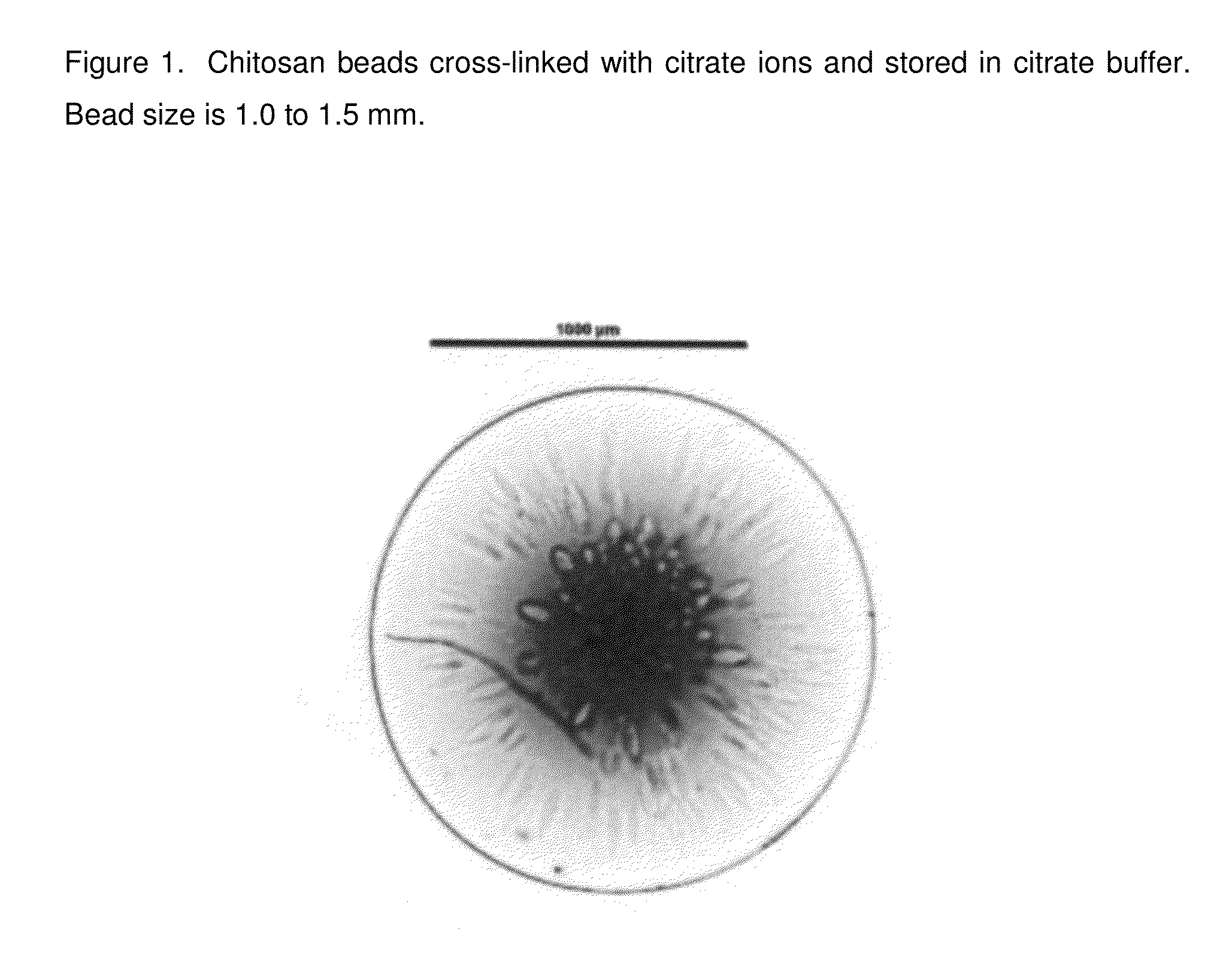 Chitosan beads and filler comprising such beads