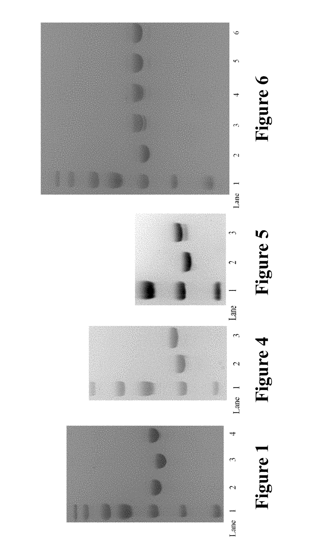 Antibody-drug conjugates