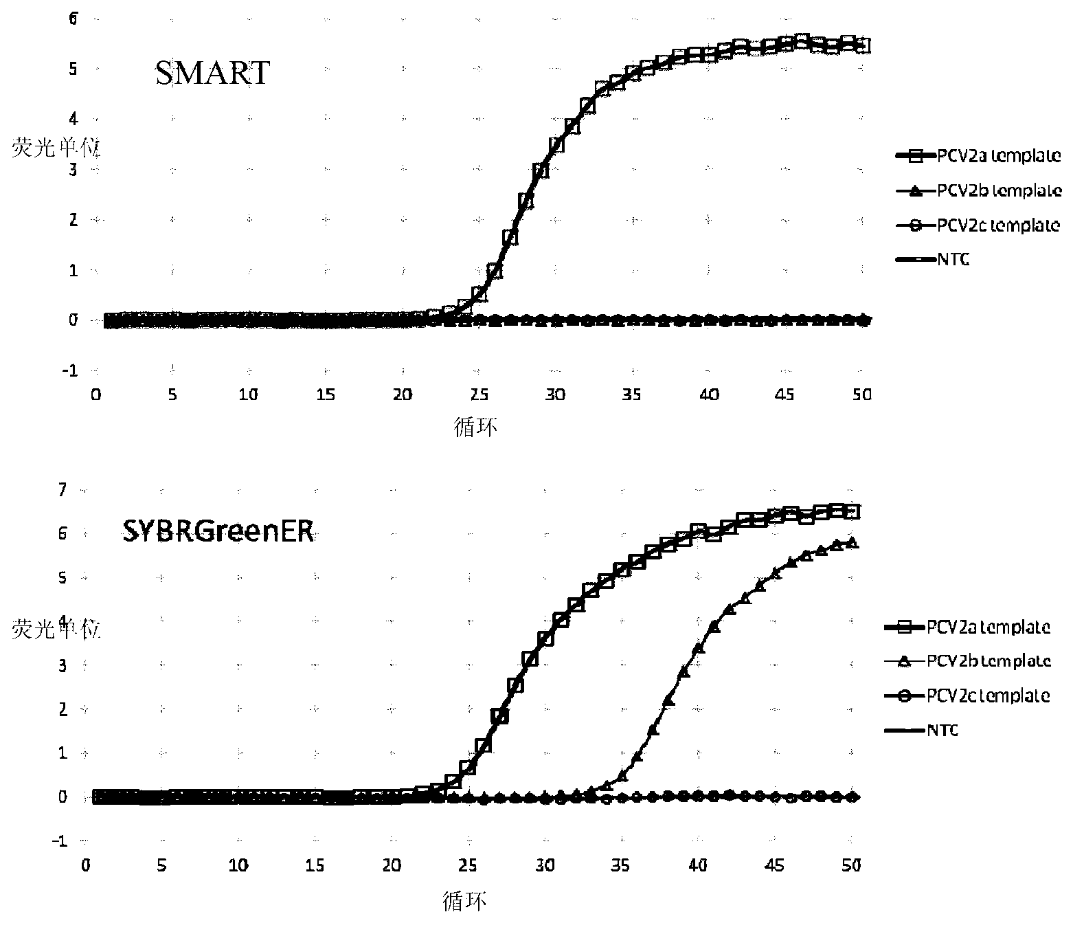 Porcine circovirus type 2 rapid typing detection kit