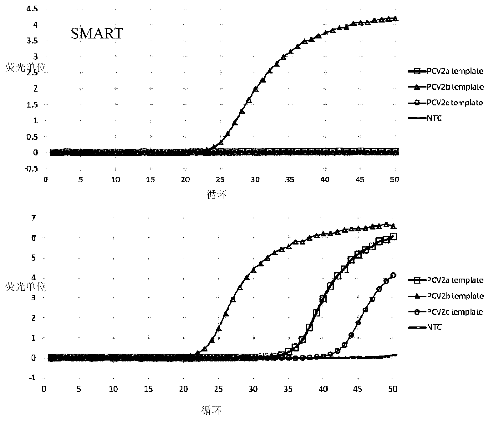 Porcine circovirus type 2 rapid typing detection kit