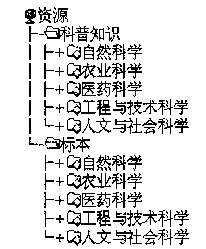 Digital museum gridding and construction method thereof