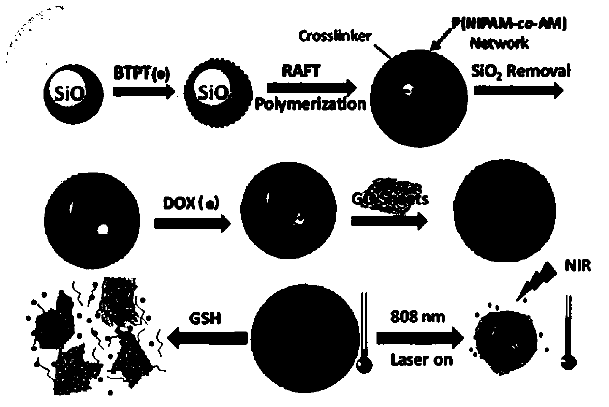 A thermosensitive polymer@graphene oxide capsule drug carrier and its preparation method and application