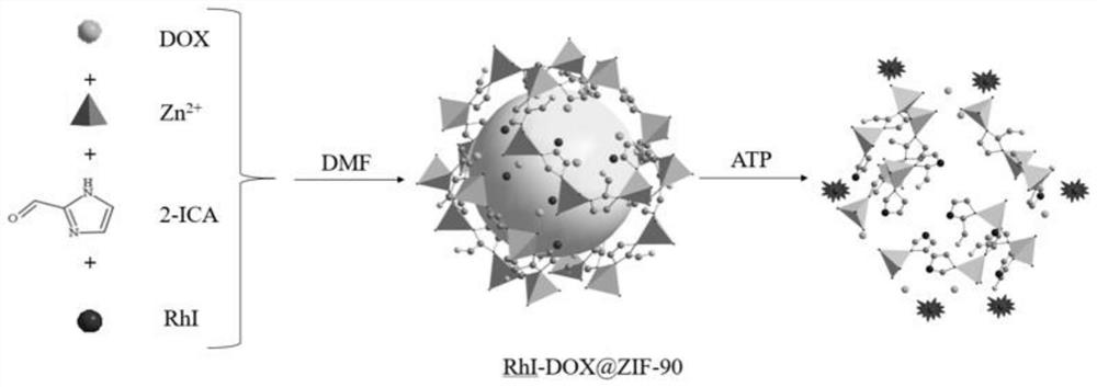 Preparation and application of near-infrared fluorescent probe based on MOF material