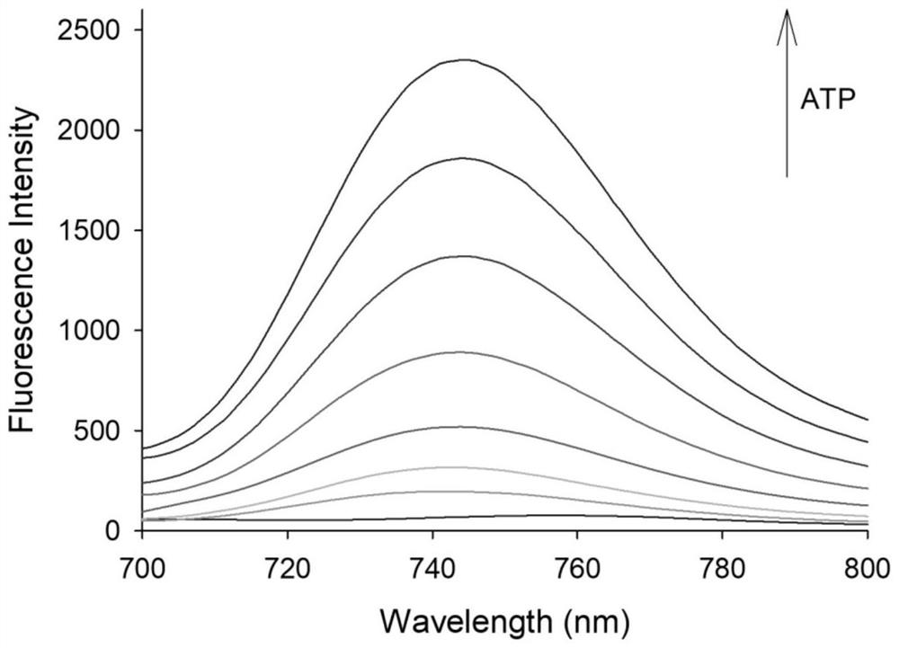 Preparation and application of near-infrared fluorescent probe based on MOF material