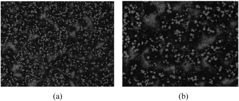 VCp reinforced composite abrasion-resistant alloy material and preparation method thereof