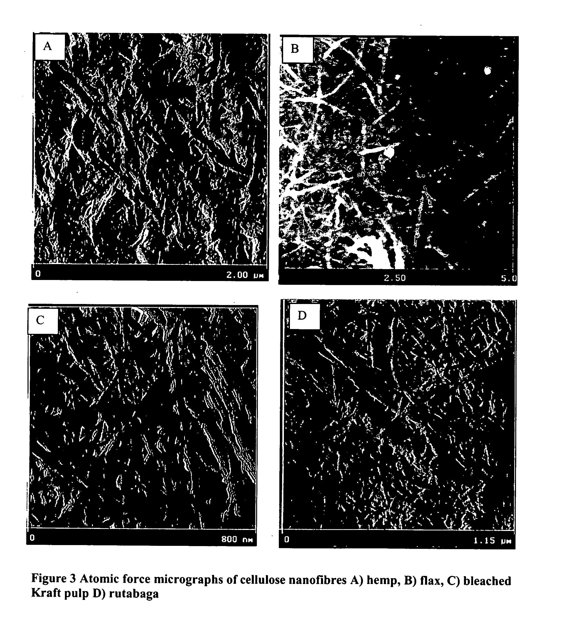 Manufacturing process of cellulose nanofibers from renewable feed stocks