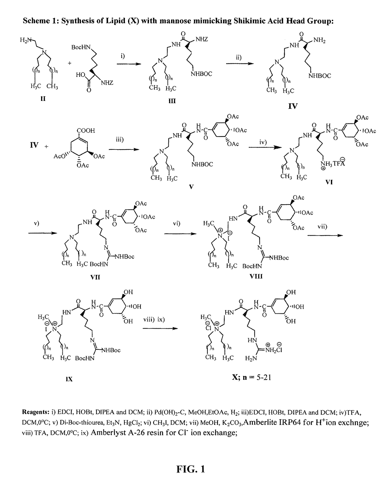 Mannose-receptor selective lysinylated cationic amphiphiles and a process for preparation thereof