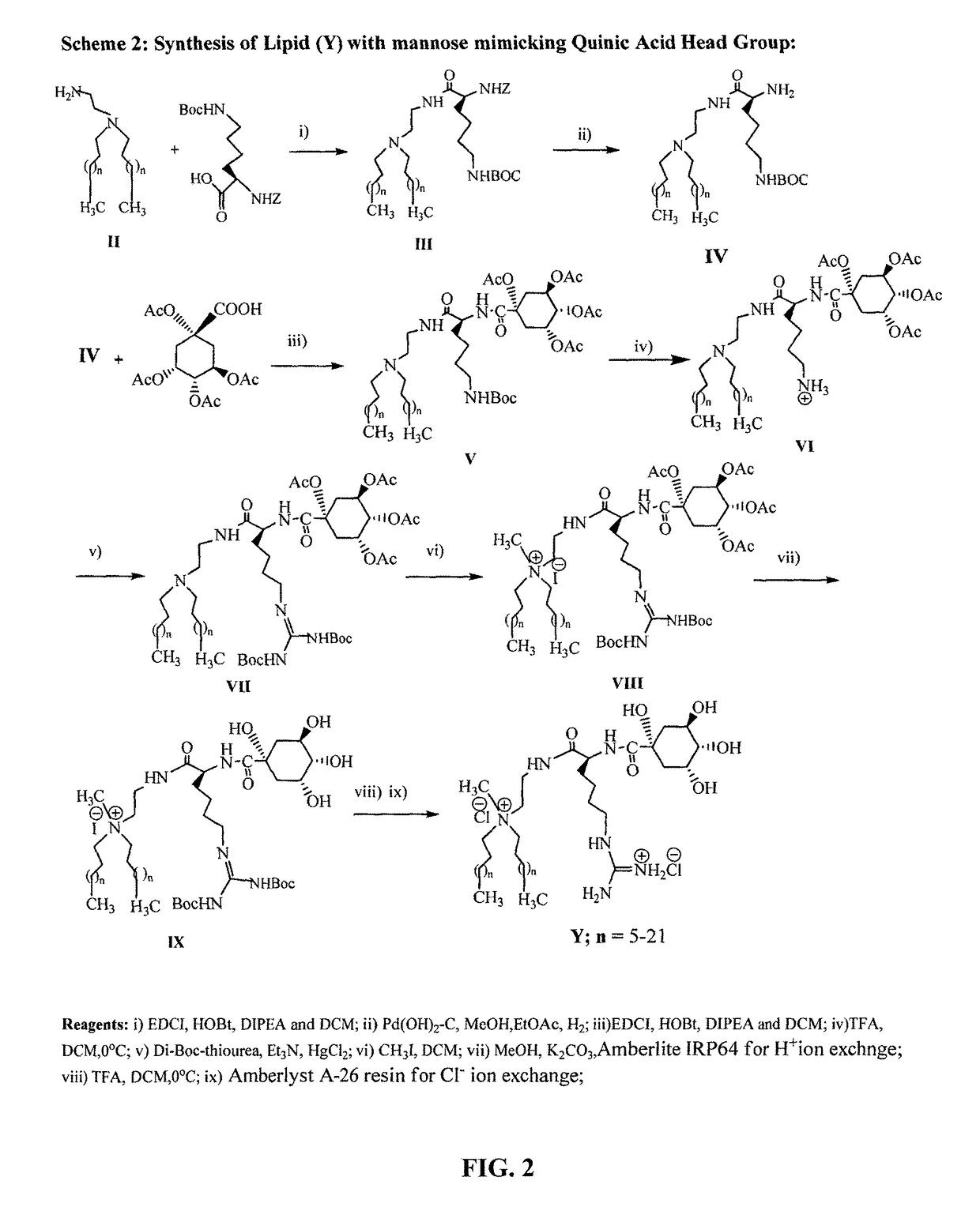 Mannose-receptor selective lysinylated cationic amphiphiles and a process for preparation thereof