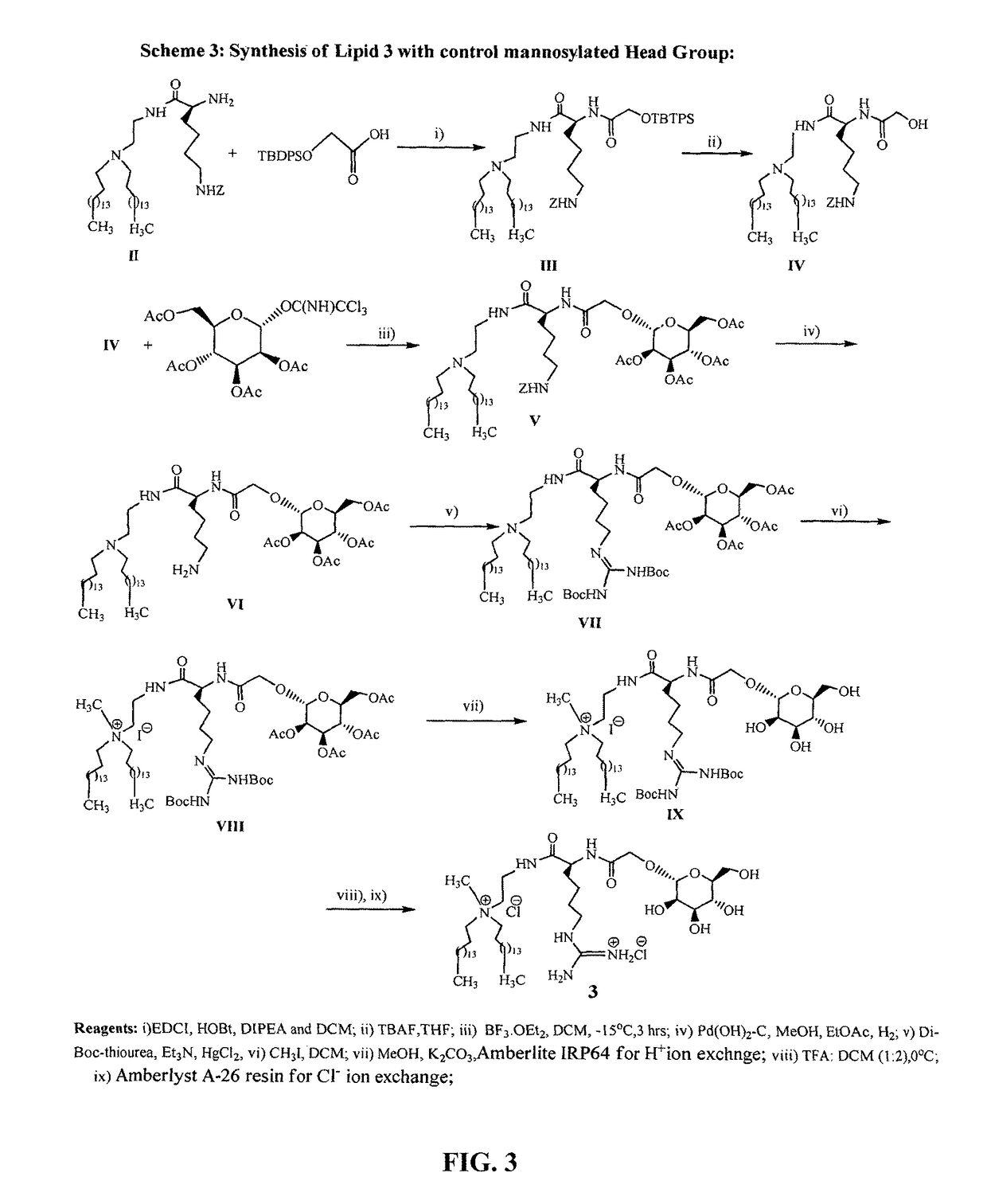 Mannose-receptor selective lysinylated cationic amphiphiles and a process for preparation thereof